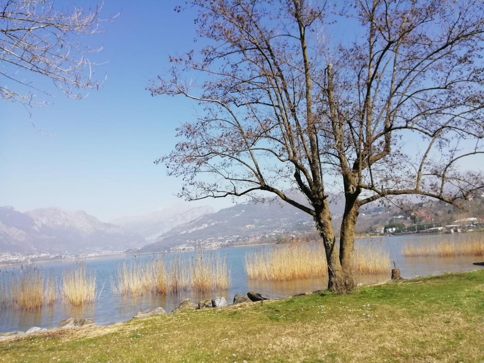 La Poesia Del Lago Oggiono ภายนอก รูปภาพ